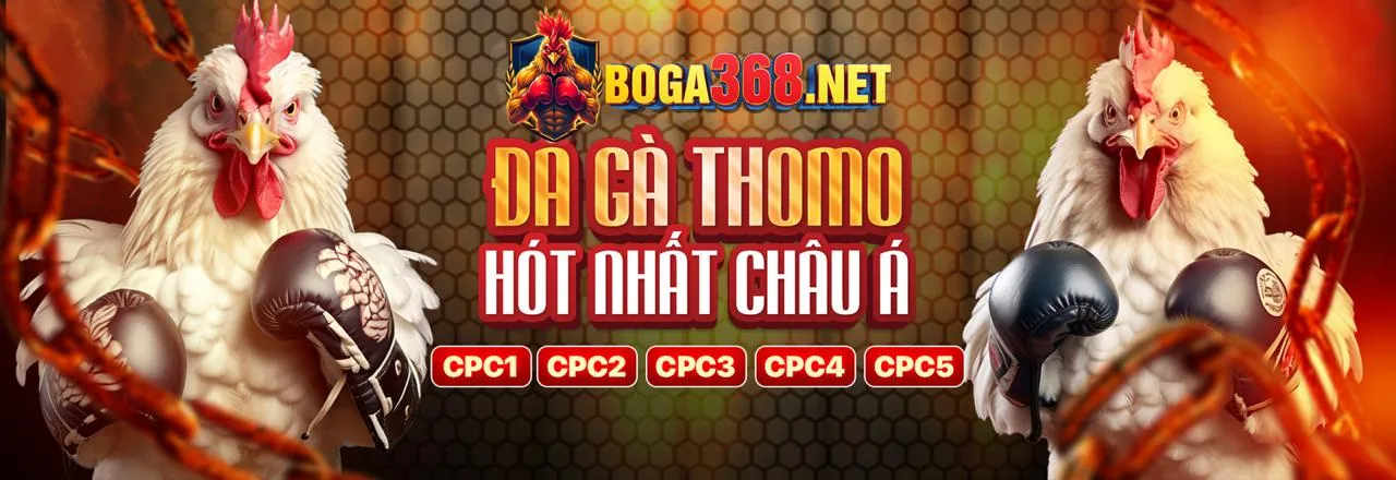 Đá gà trực tuyến kịch tính trên 10bet app